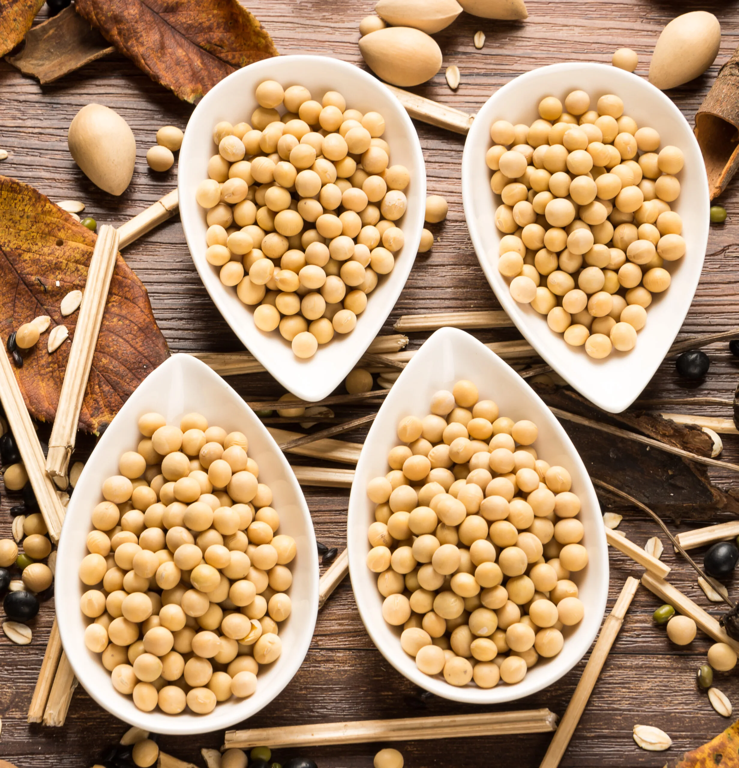 top-view-four-bowls-dried-soybeans-scaled