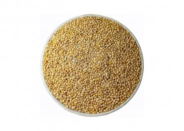 Yellow Millet (Kangni)